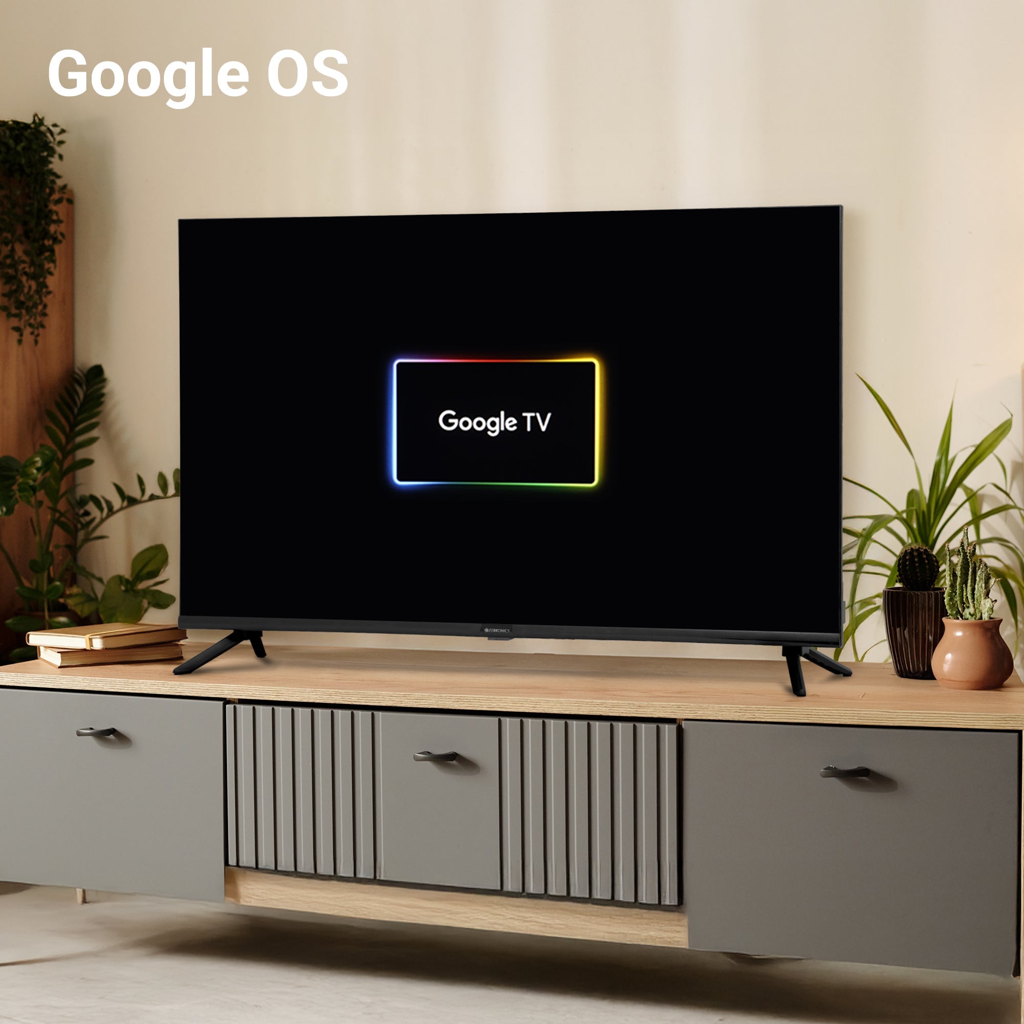 Zebronics - Zeb 43G1 - Smart LED TV - Google TV