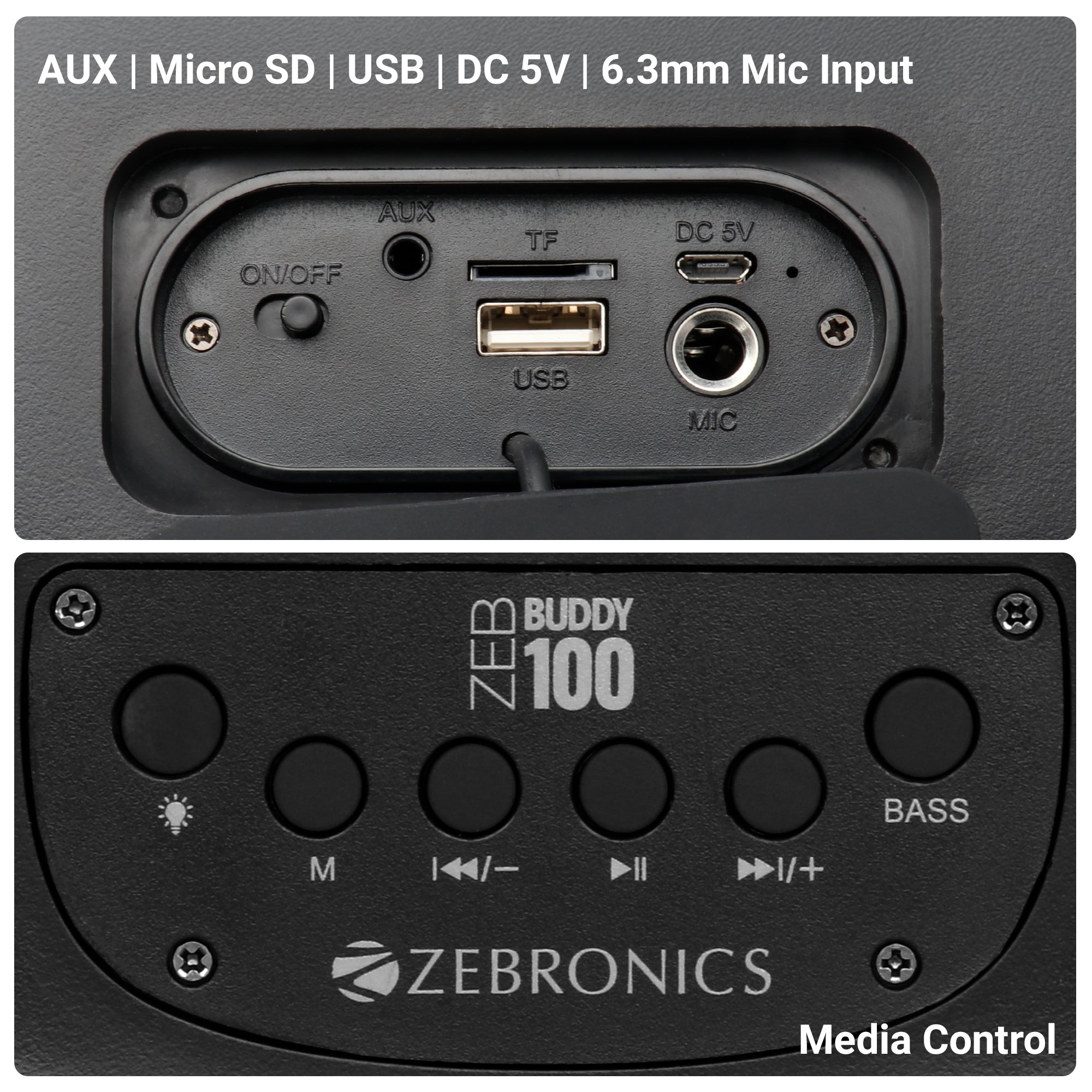 Buddy 100(20W) Wireless Speaker with Mic