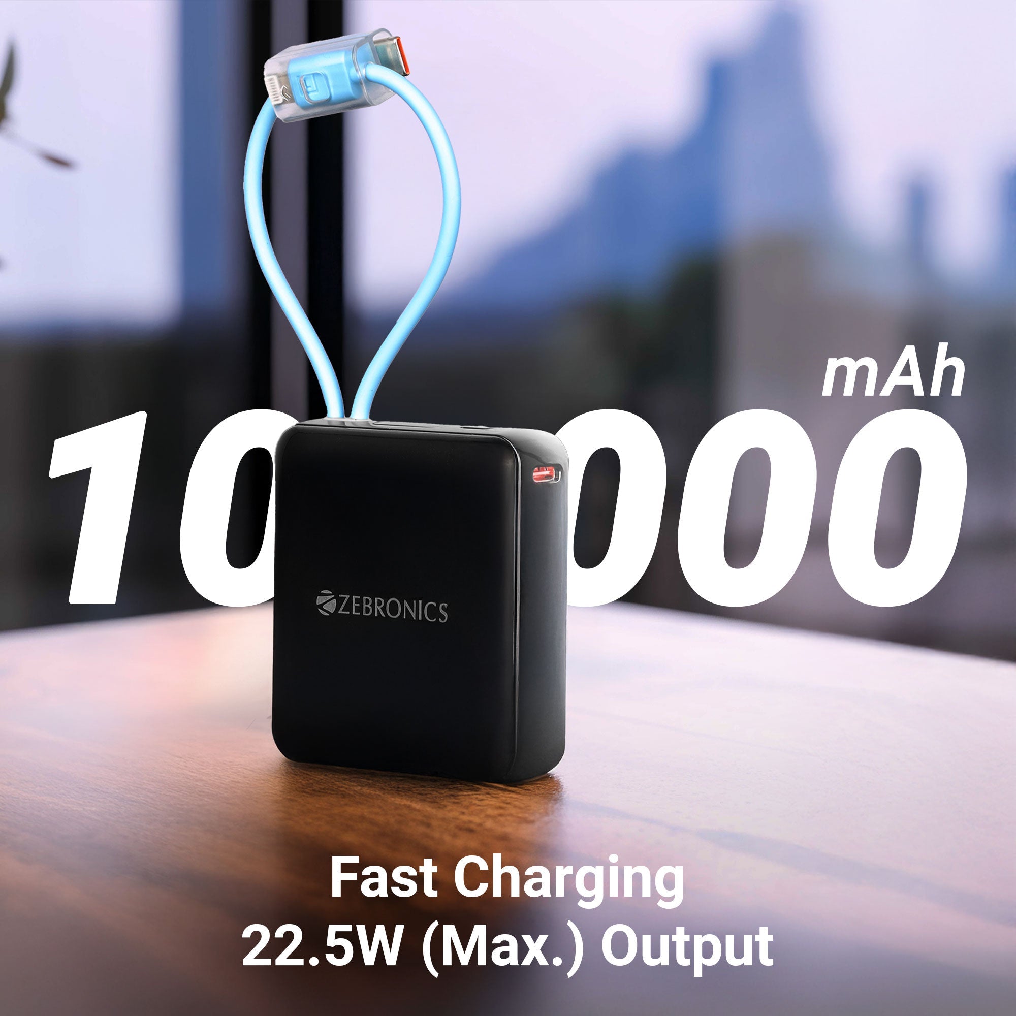 EnergiTank 10R1 - 10000 mAh Power Bank (with Type C & Lighting Cable)