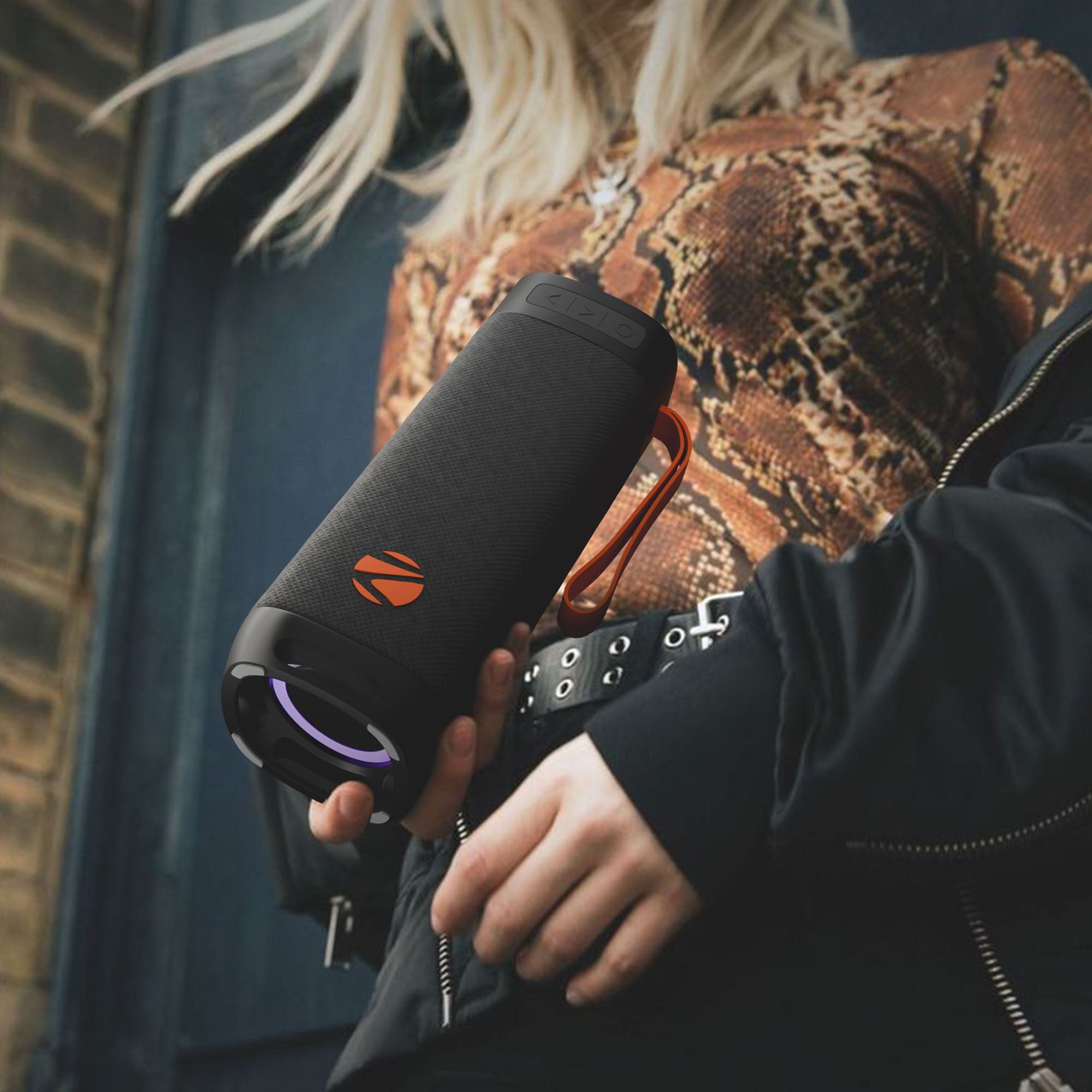 Sound Feast 250 (40W) Bluetooth Speaker