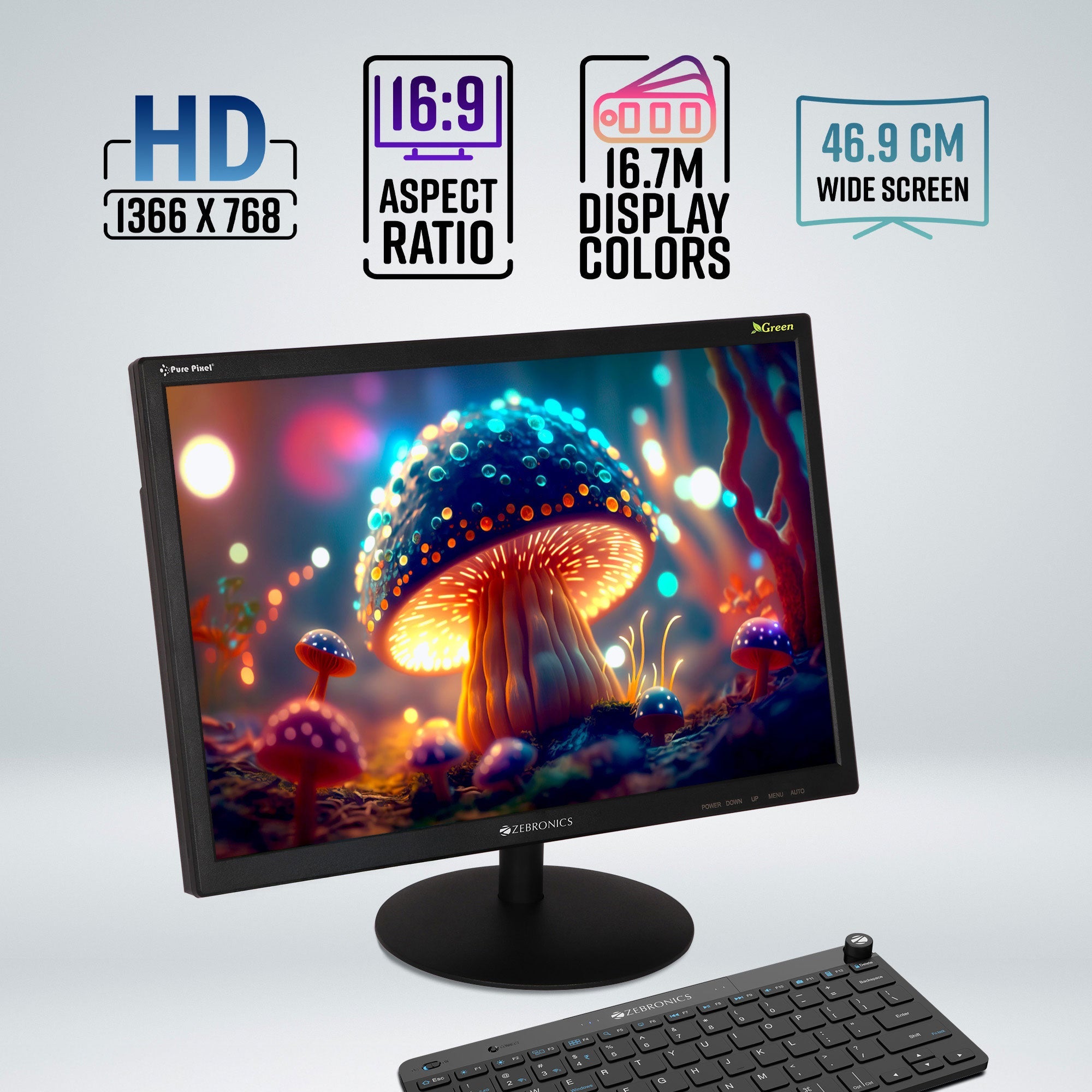 V19HD LED Monitor