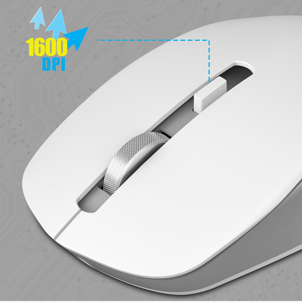 Zeb-Companion 500 - Keyboard and Mouse Combo - Zebronics