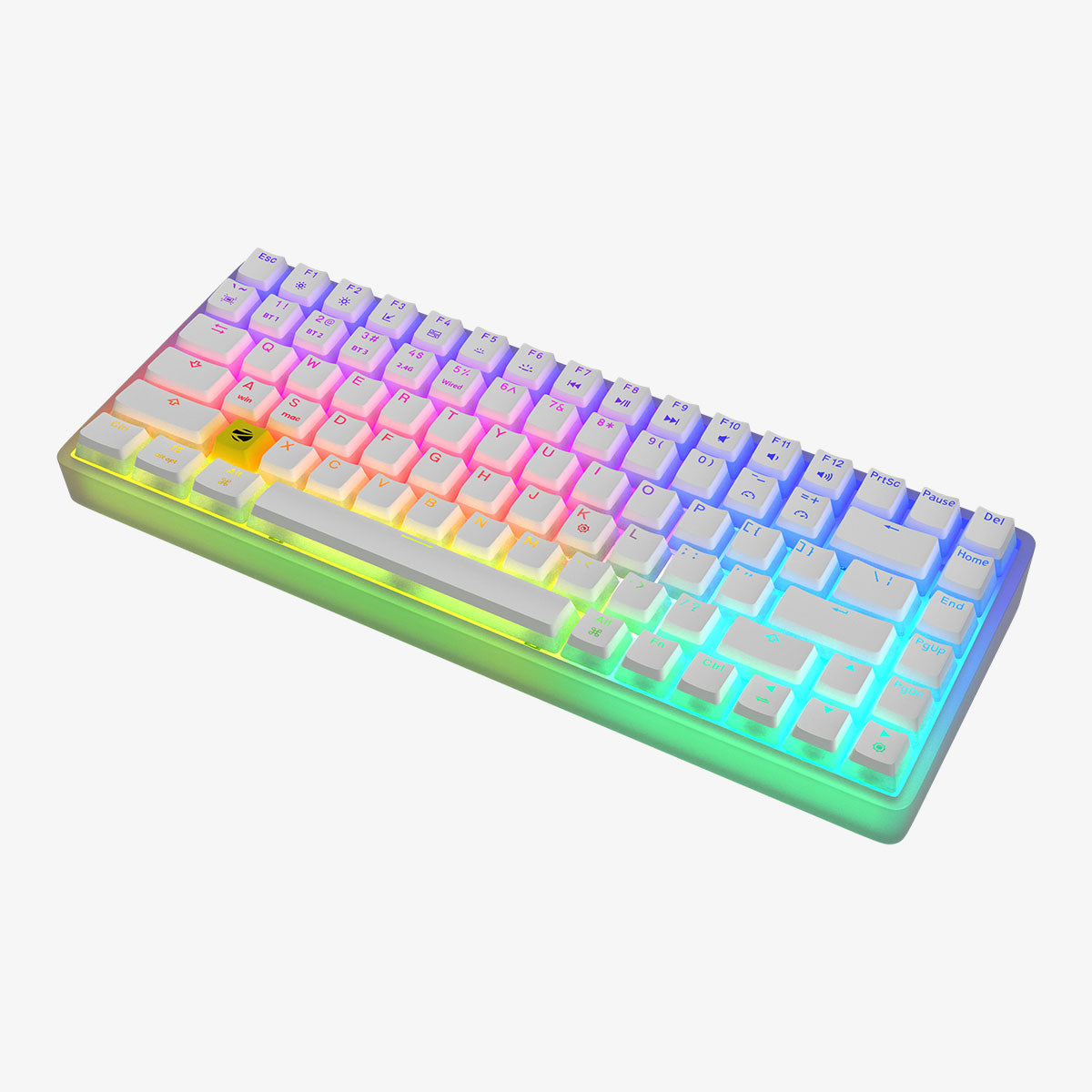 Zeb-Max Ninja 200 - Mechanical keyboard - Zebronics