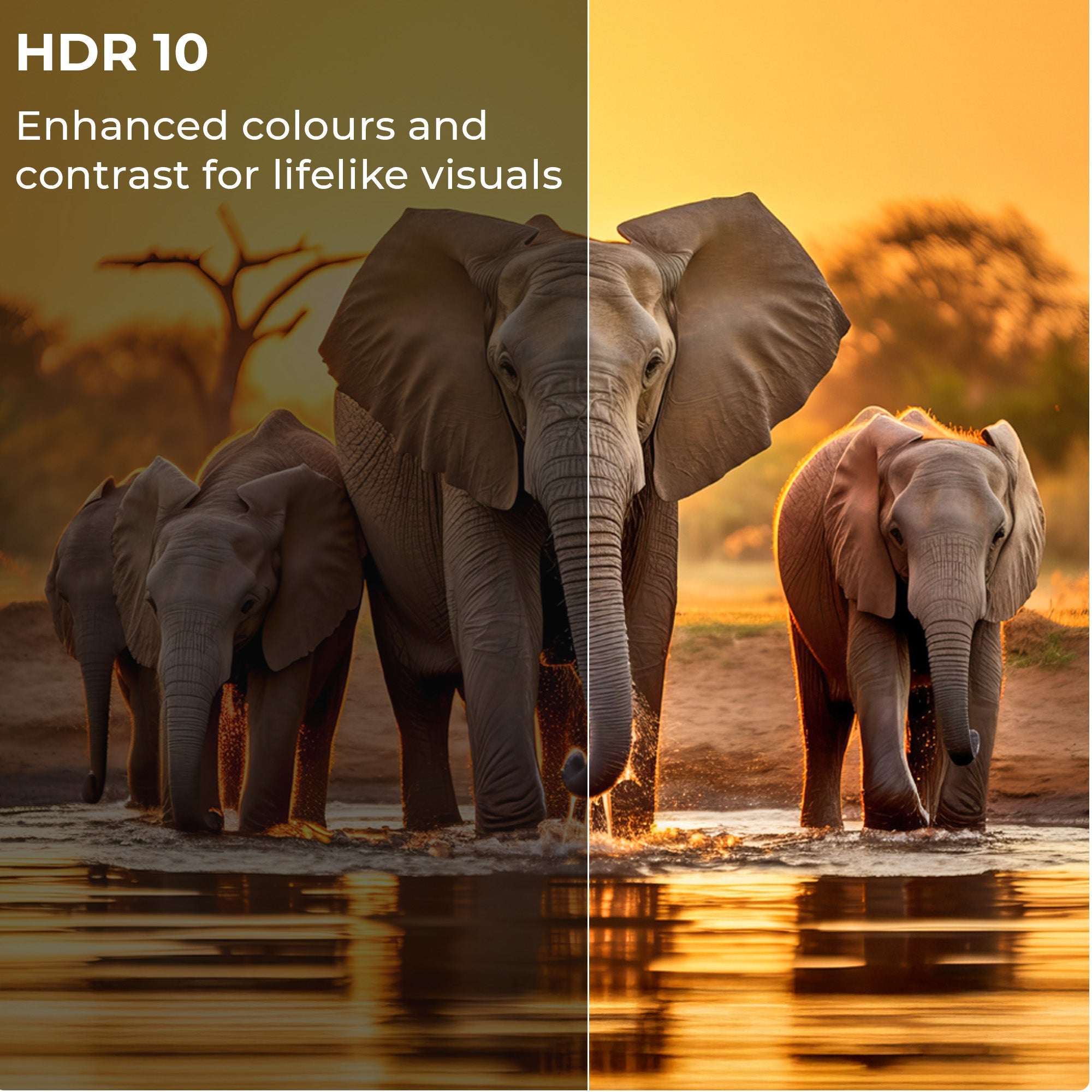 32G1 Pro (32") LED TV