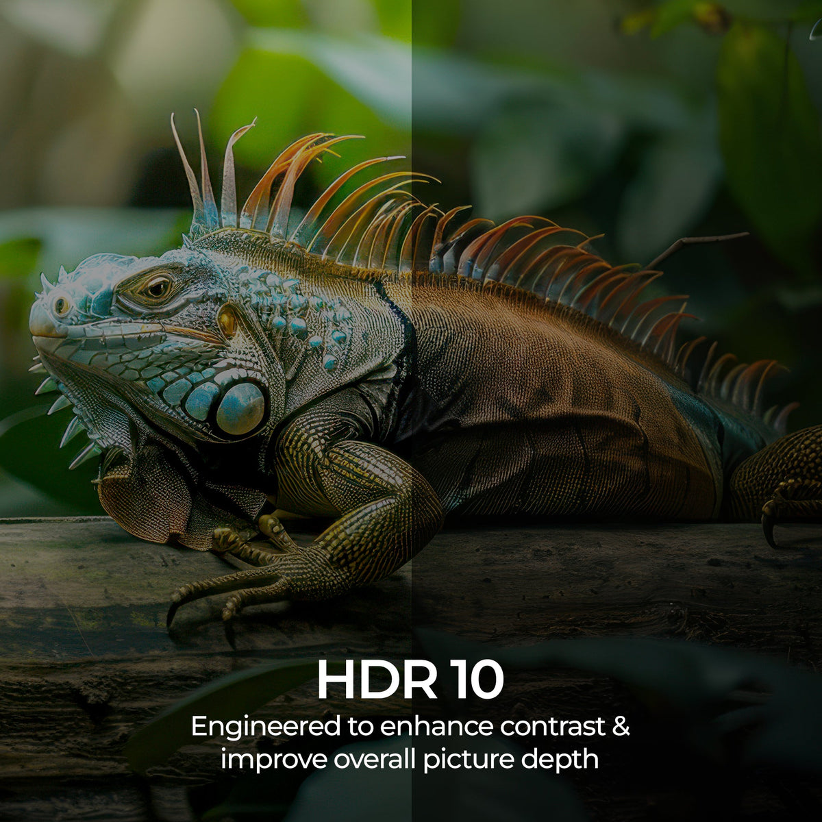 43G1 Pro (43") LED TV