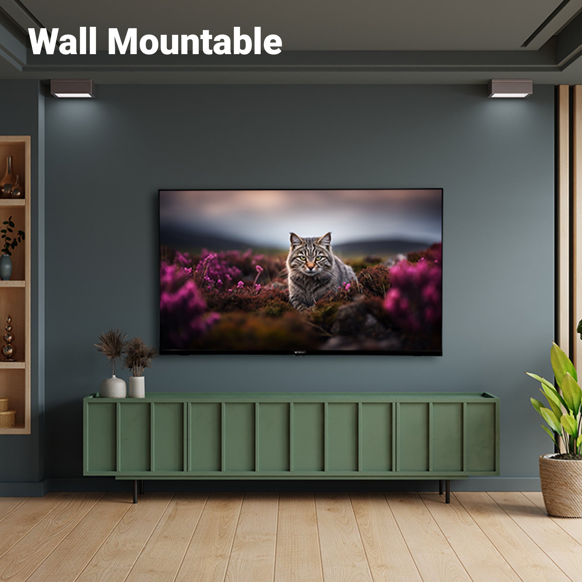 Zebronics - Zeb 43G1 - Smart LED TV - Wall Mountable
