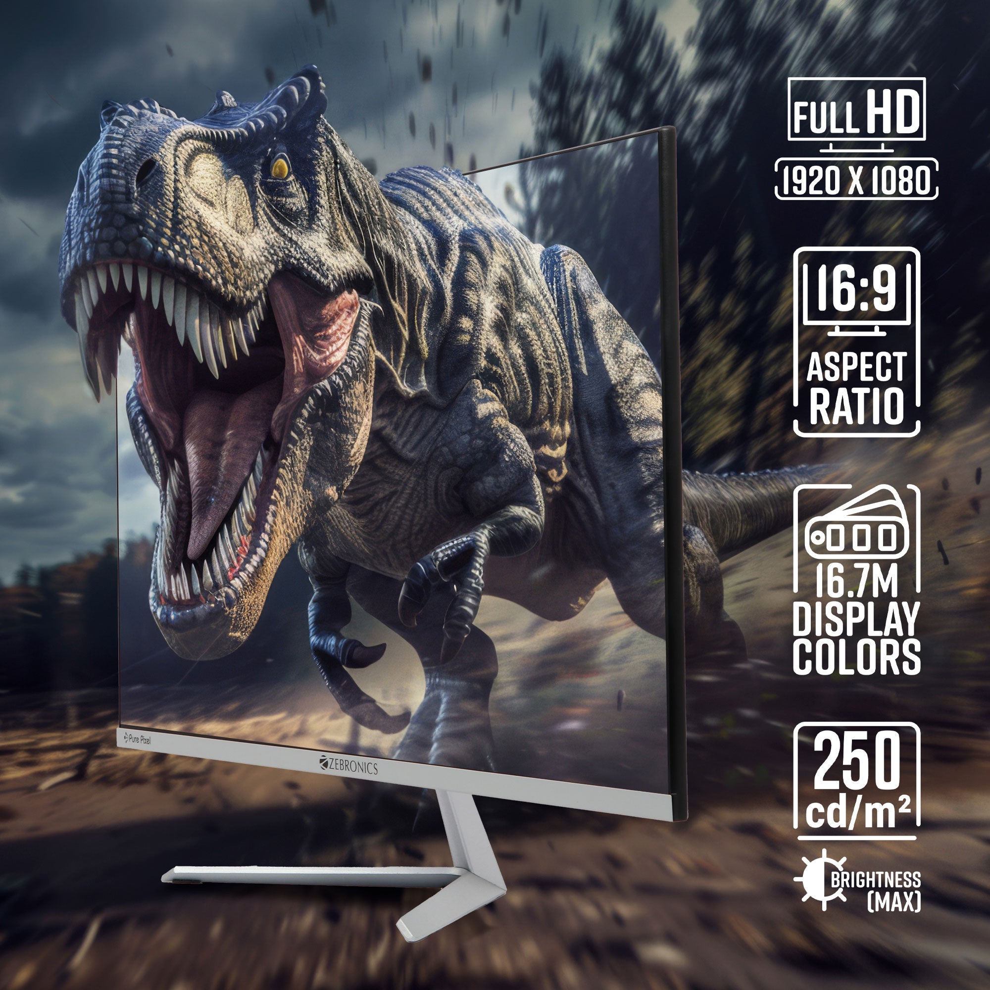 A24FHD (100Hz) LED Monitor