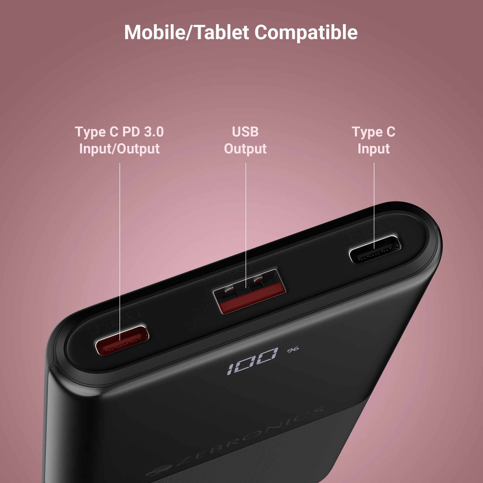 EnergiPod 10R1 10000 mAh Power Bank (with PD 3.0 Type C)