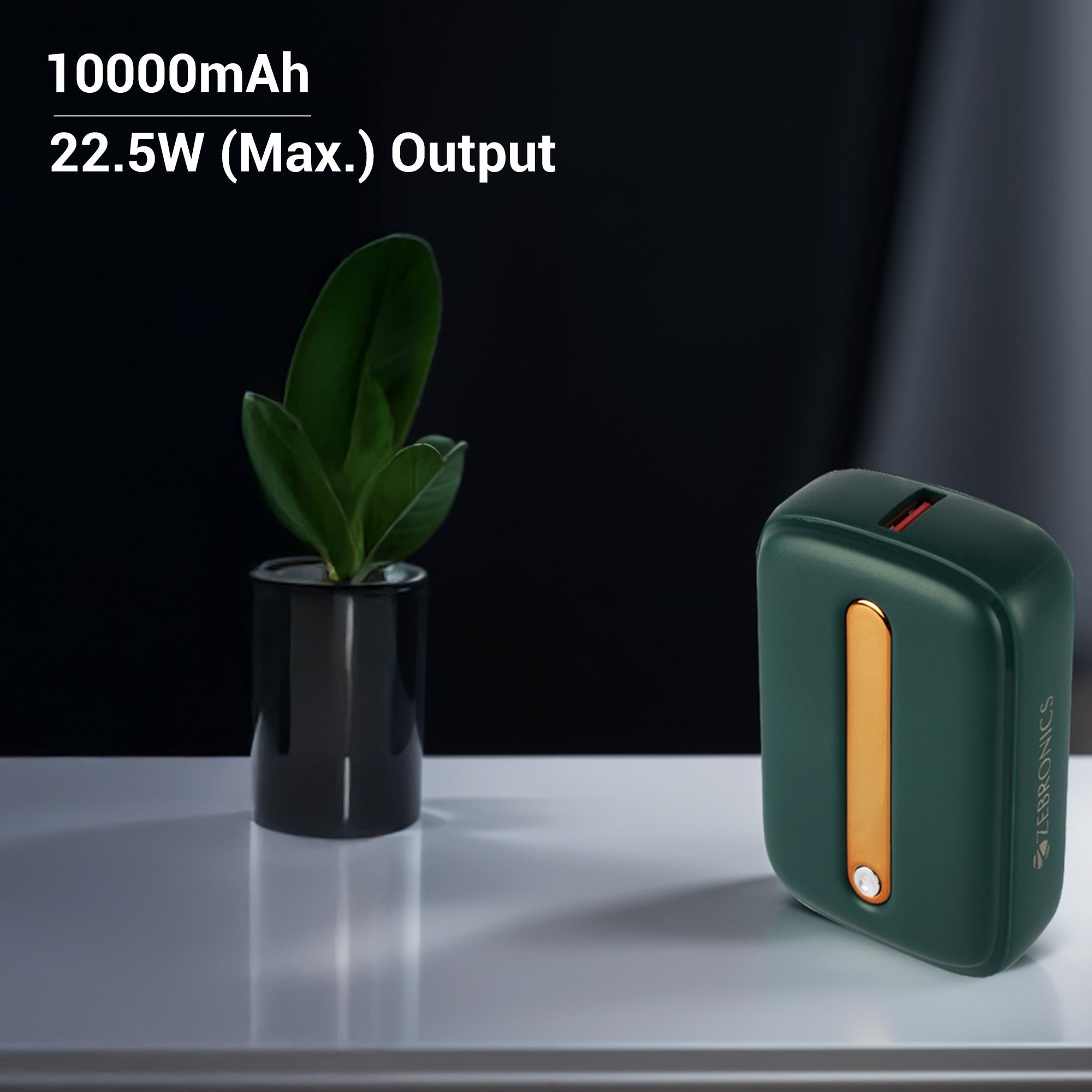 Zebronics - Zeb MW66 Plus - Power bank