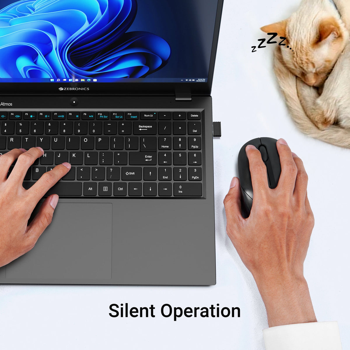 Zebronics Panther Wireless Mouse for Office & Home Use