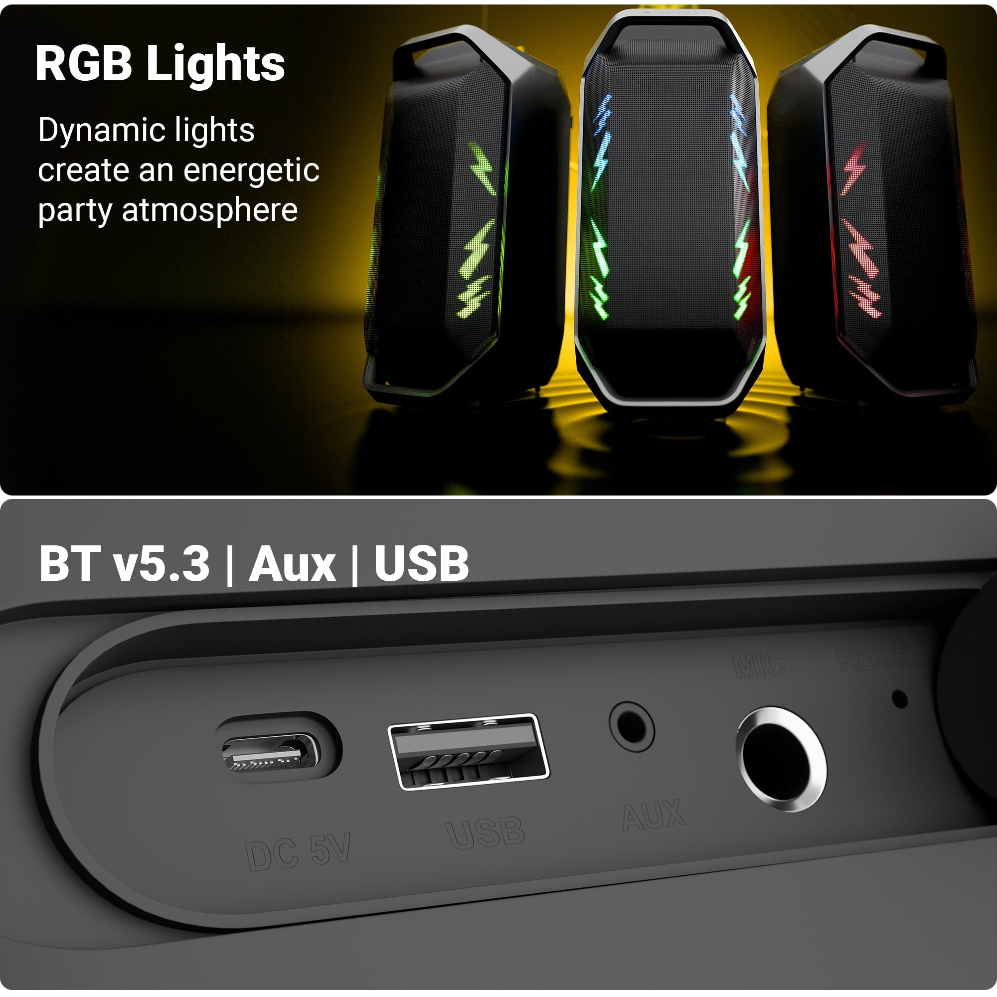 Party Fyre 110 (110W) Party Speaker