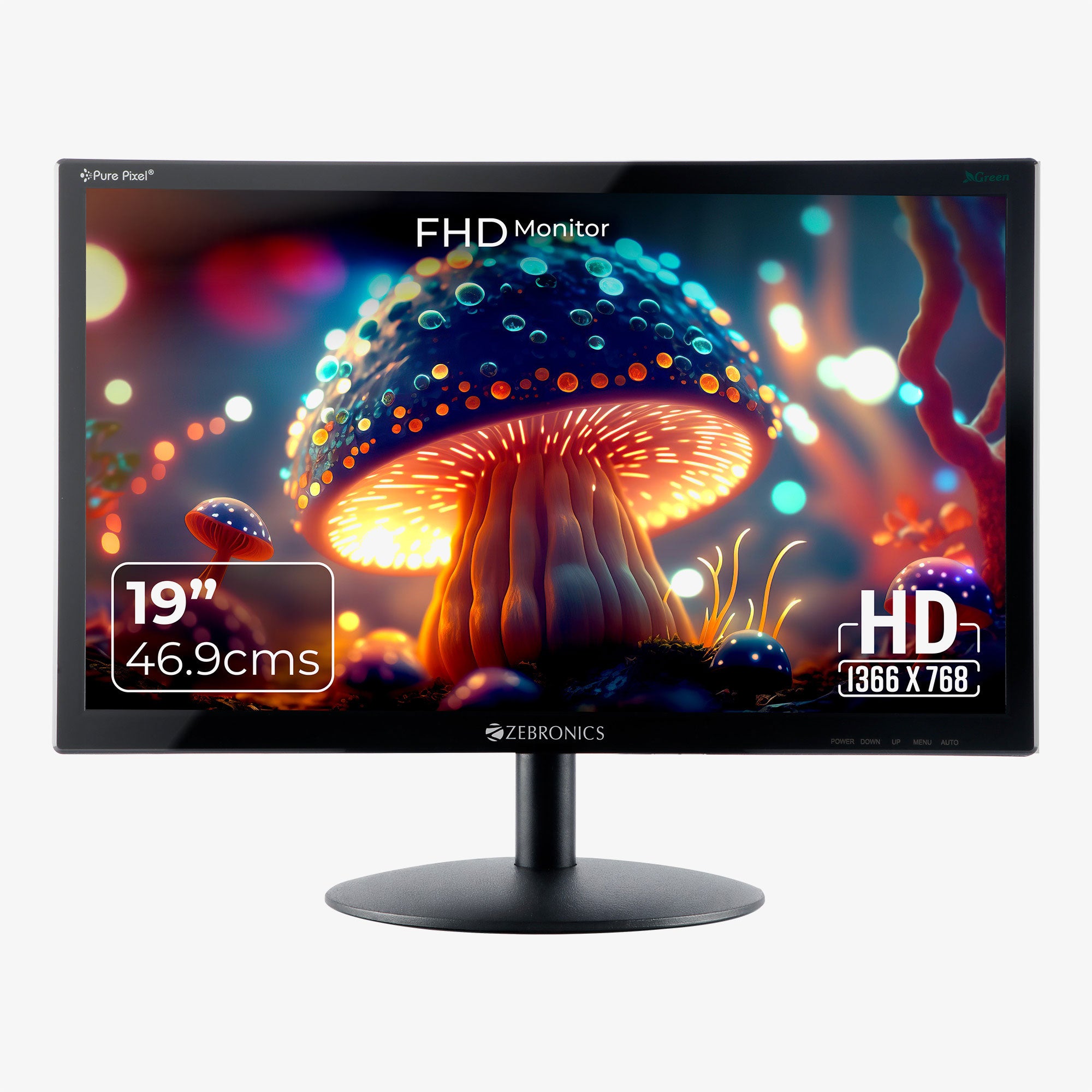 V19HD LED Monitor