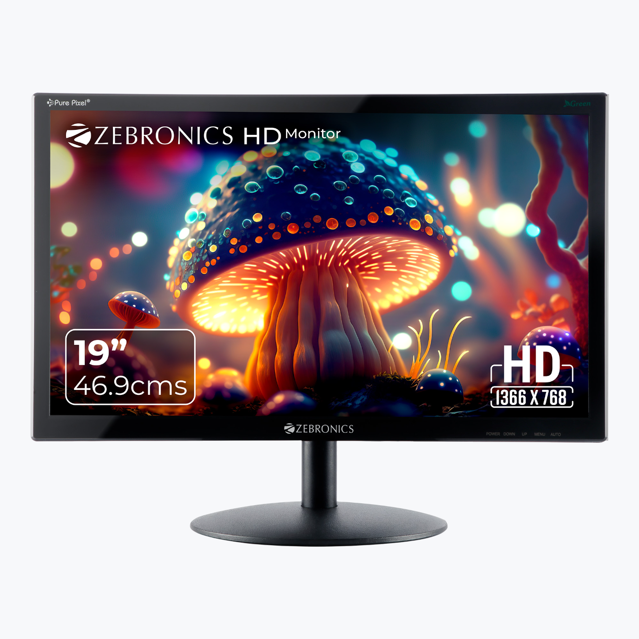 V19HD LED Monitor