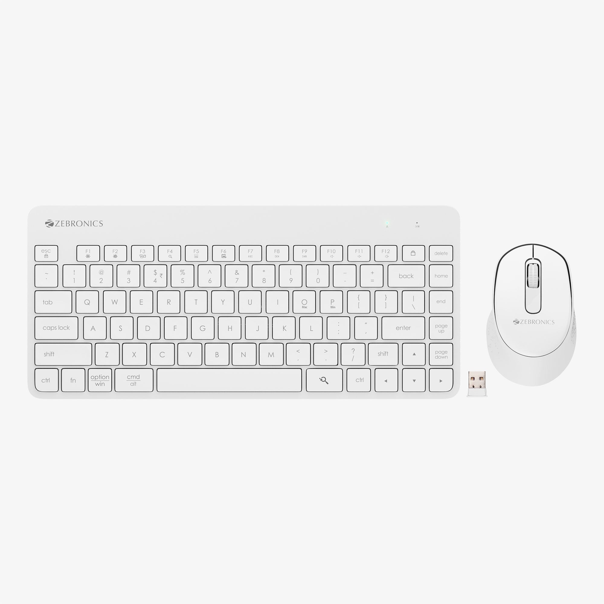 Zeb Companion 101 - Keyboard and Mouse Combo - Zebronics