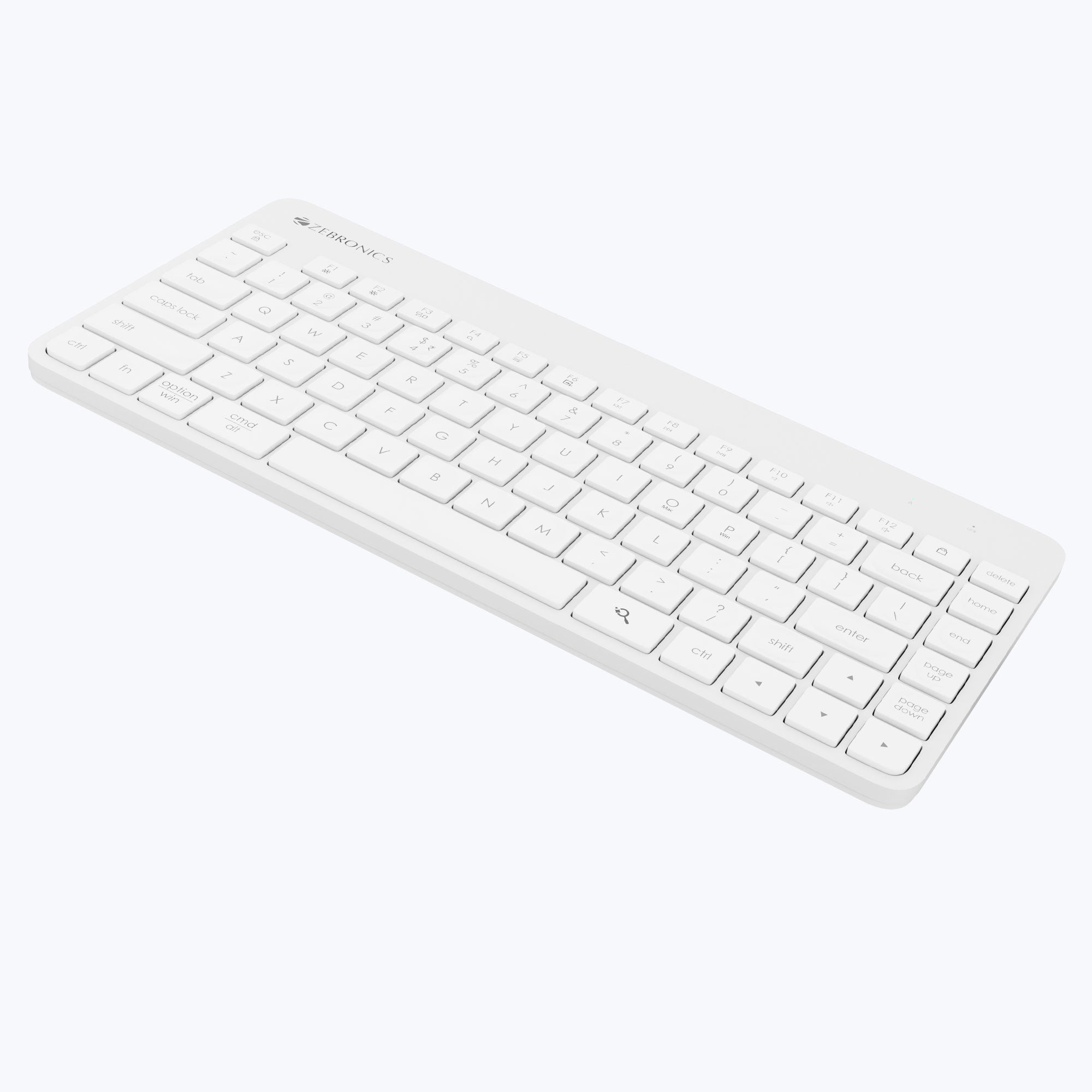 Zeb Companion 101 - Keyboard and Mouse Combo - Zebronics