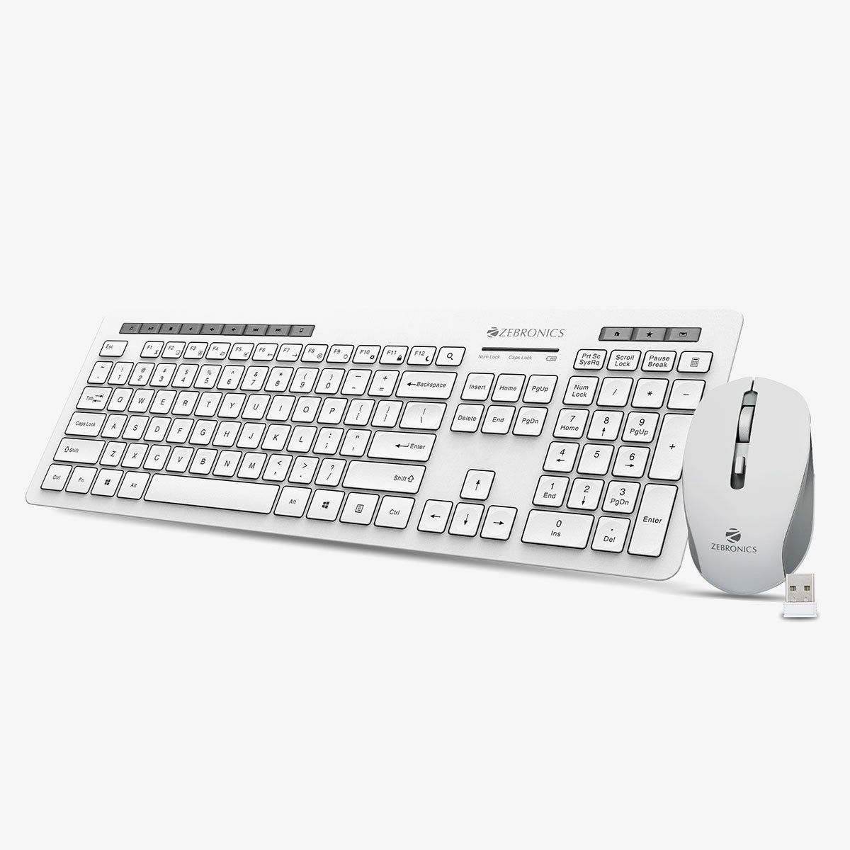 Zeb-Companion 500 - Keyboard and Mouse Combo - Zebronics