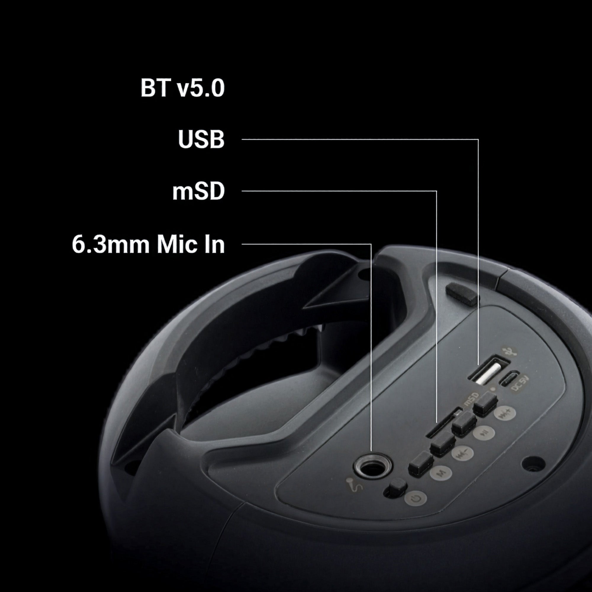 Sound Feast 90 (10W) Portable Speaker with Wired Mic