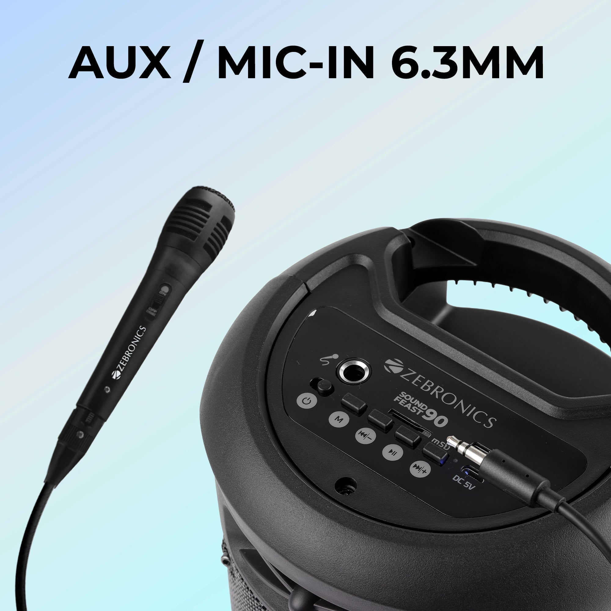 Sound Feast 90 (10W) Portable Speaker with Wired Mic